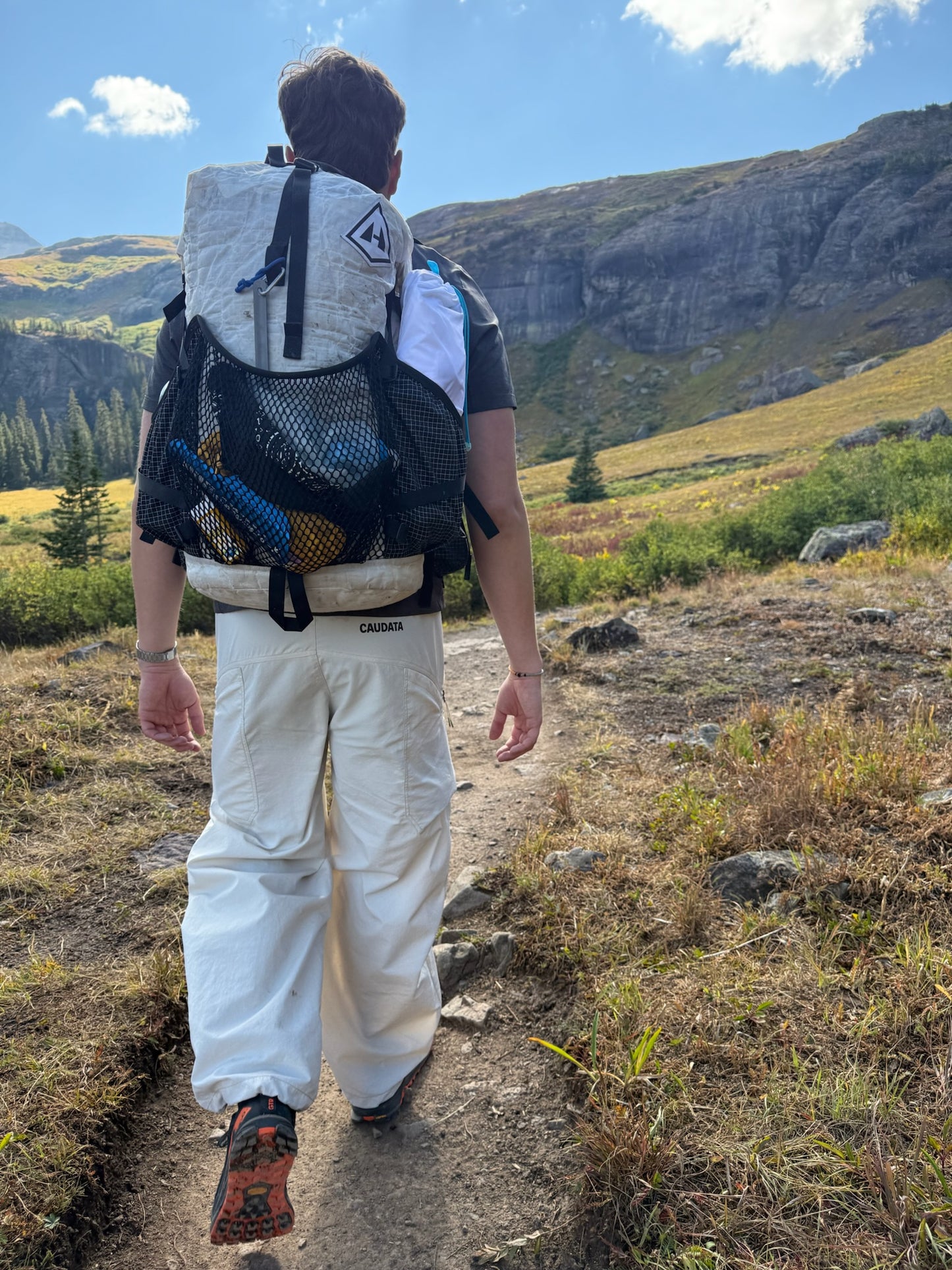 NewtFlex Pants