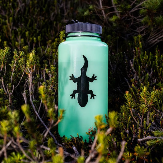 Nalgene Bottle