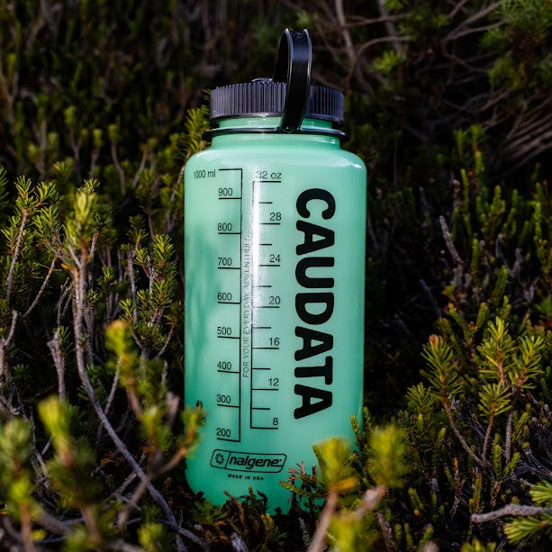 Nalgene Bottle – Caudata